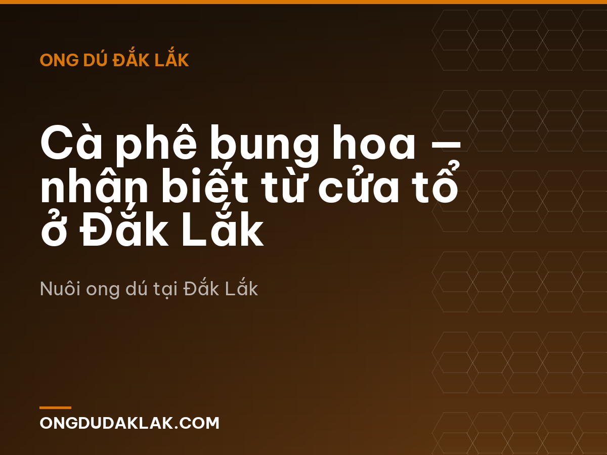 Cà phê bung hoa — nhận biết từ cửa tổ ở Đắk Lắk