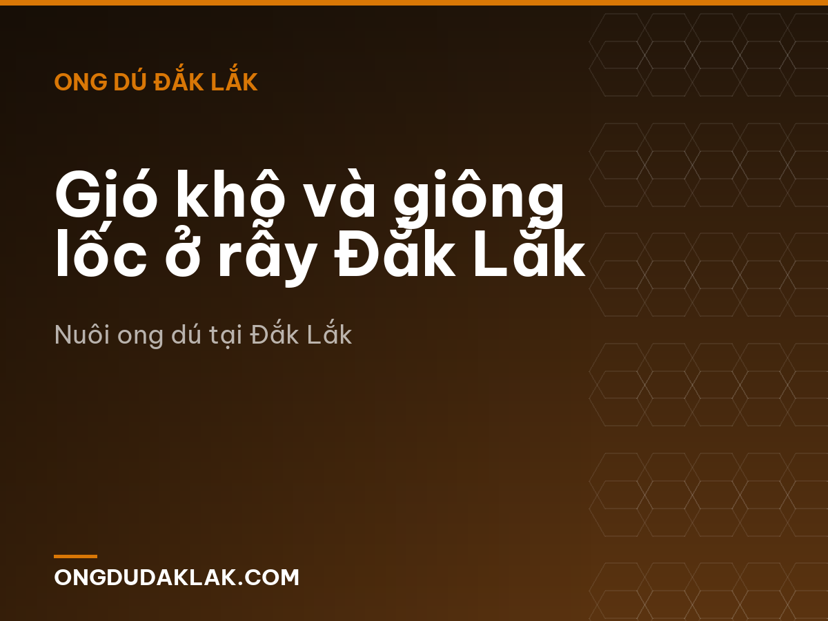 Gió khô và giông lốc ở rẫy Đắk Lắk