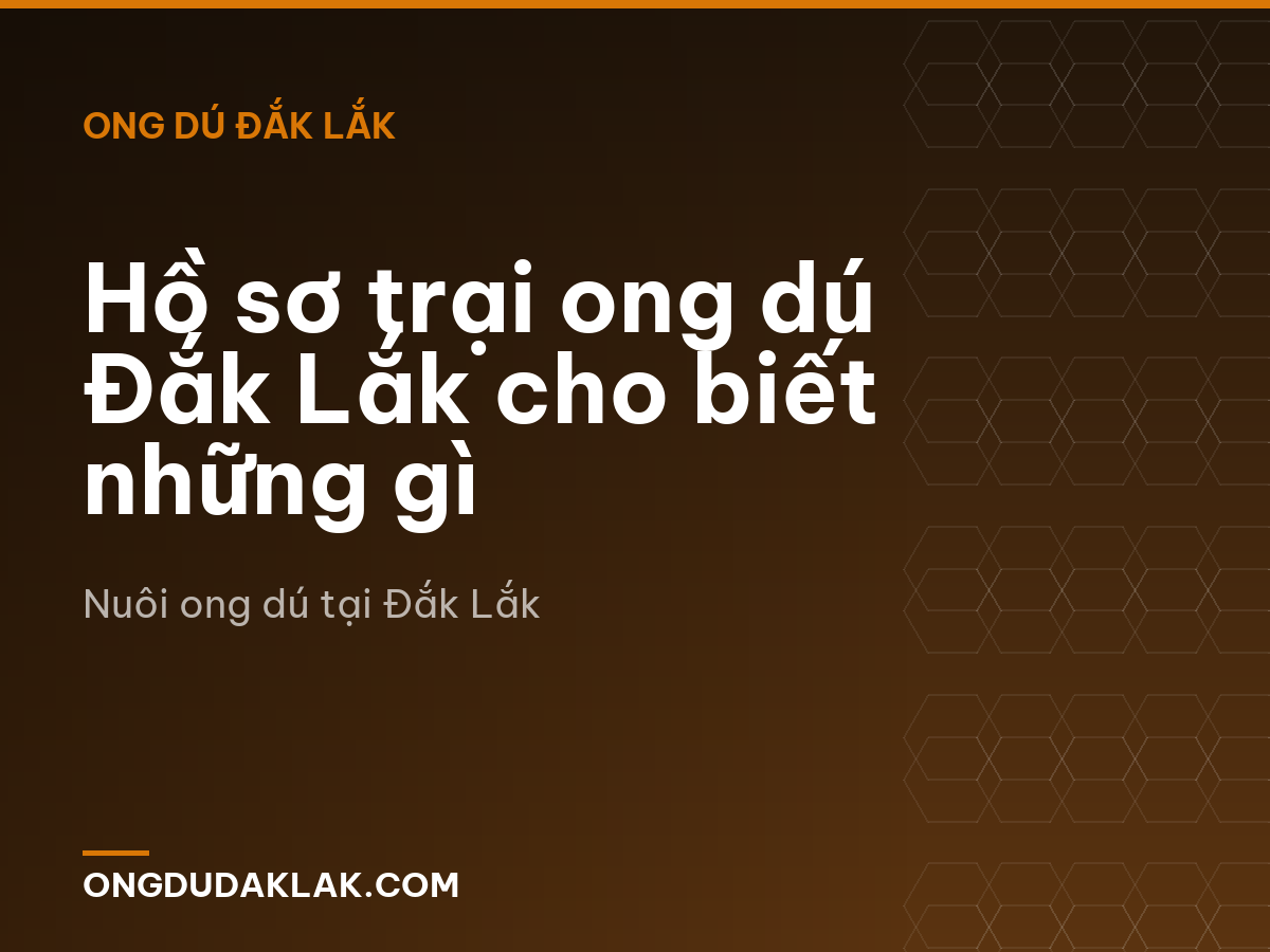 Hồ sơ trại ong dú Đắk Lắk cho biết những gì