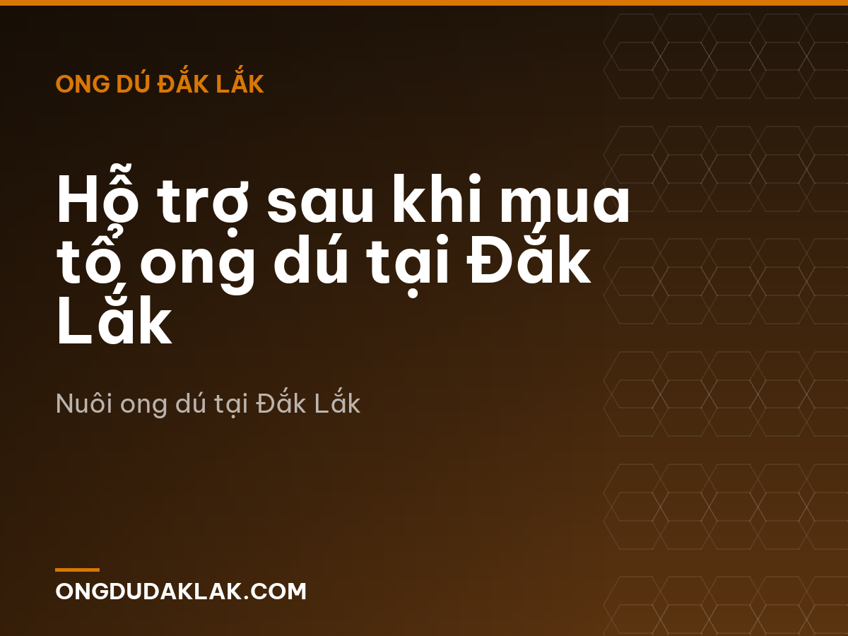 Hỗ trợ sau khi mua tổ ong dú tại Đắk Lắk