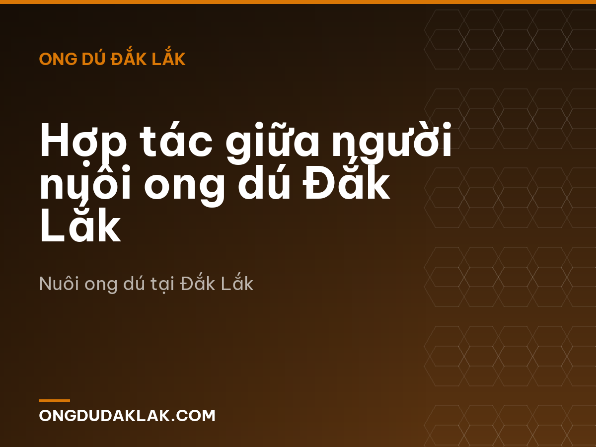 Hợp tác giữa người nuôi ong dú Đắk Lắk
