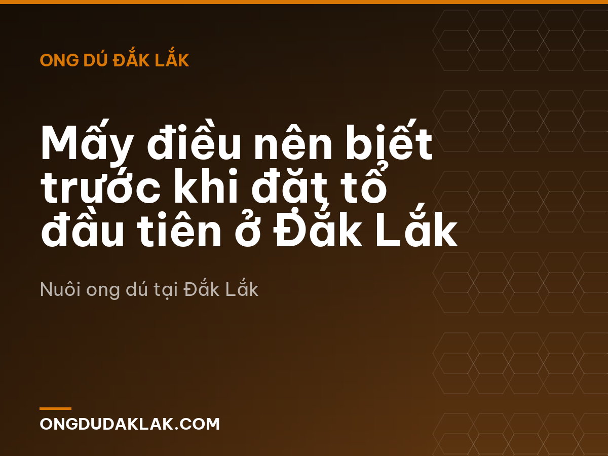 Mấy điều nên biết trước khi đặt tổ đầu tiên ở Đắk Lắk