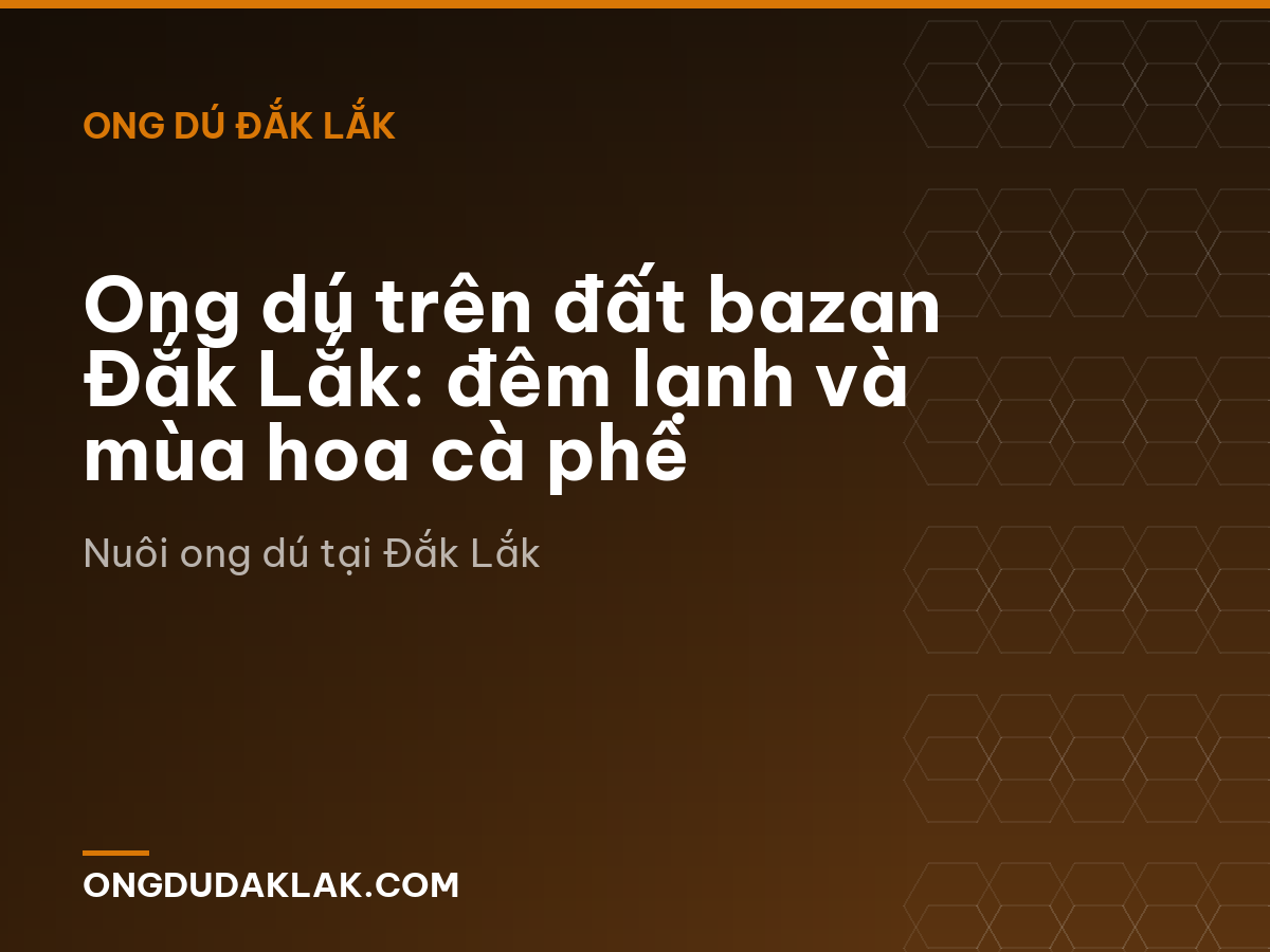 Ong dú trên đất bazan Đắk Lắk: đêm lạnh và mùa hoa cà phê
