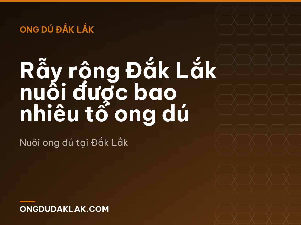 Rẫy rộng Đắk Lắk nuôi được bao nhiêu tổ ong dú