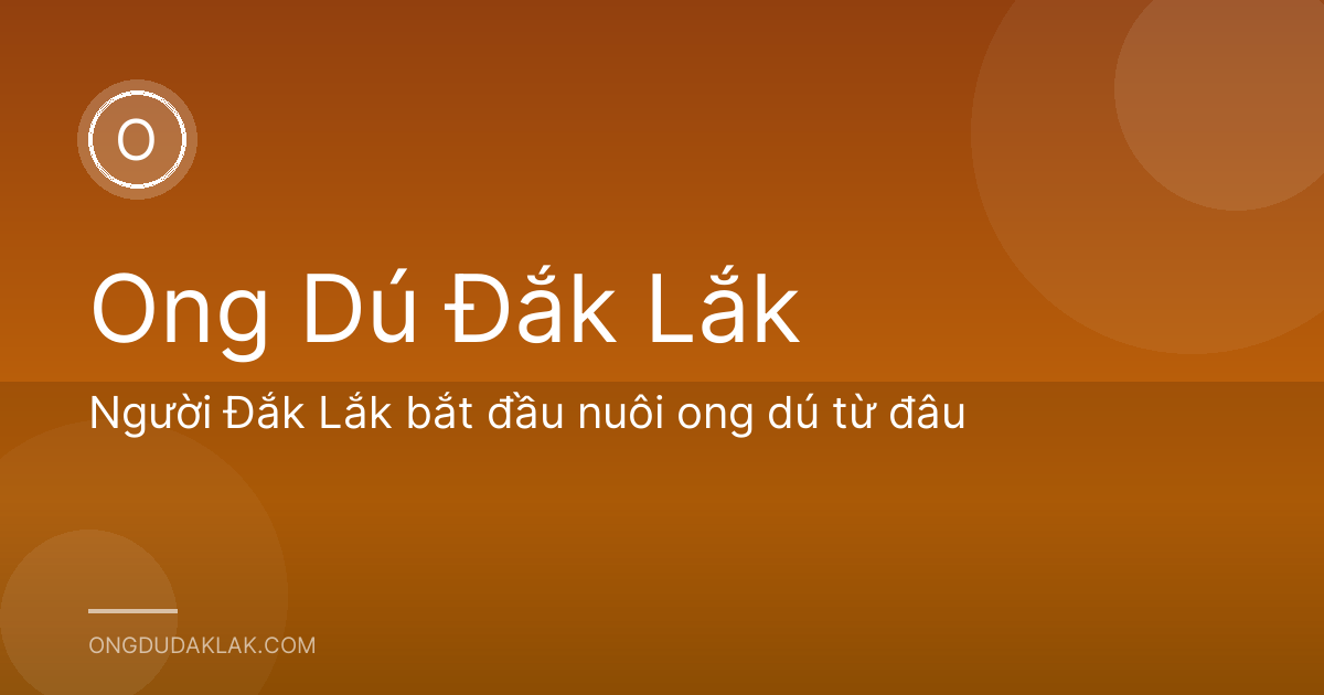 Người Đắk Lắk bắt đầu nuôi ong dú từ đâu