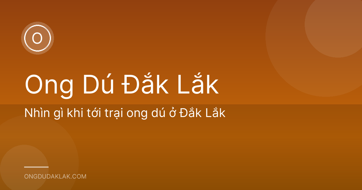 Nhìn gì khi tới trại ong dú ở Đắk Lắk