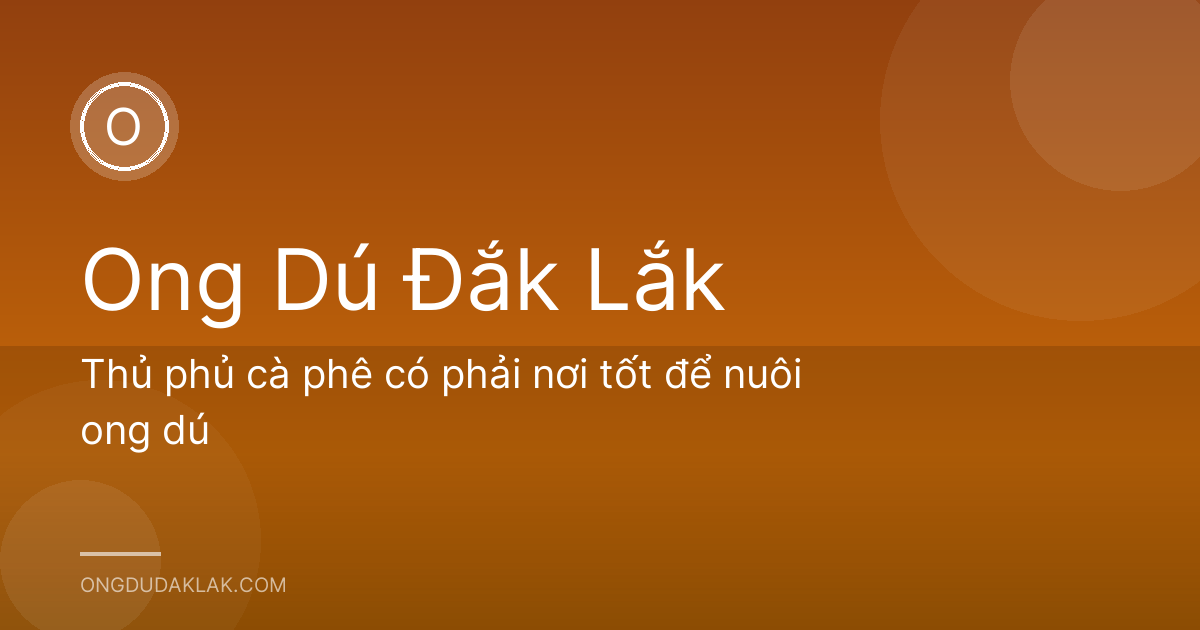 Thủ phủ cà phê có phải nơi tốt để nuôi ong dú