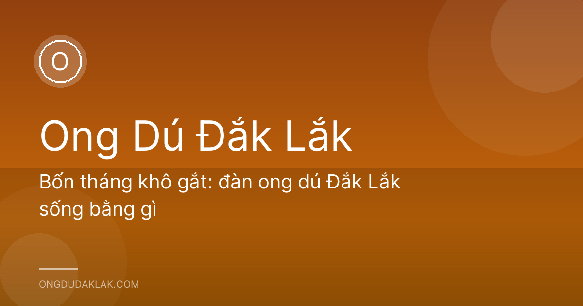 Bốn tháng khô gắt: đàn ong dú Đắk Lắk sống bằng gì