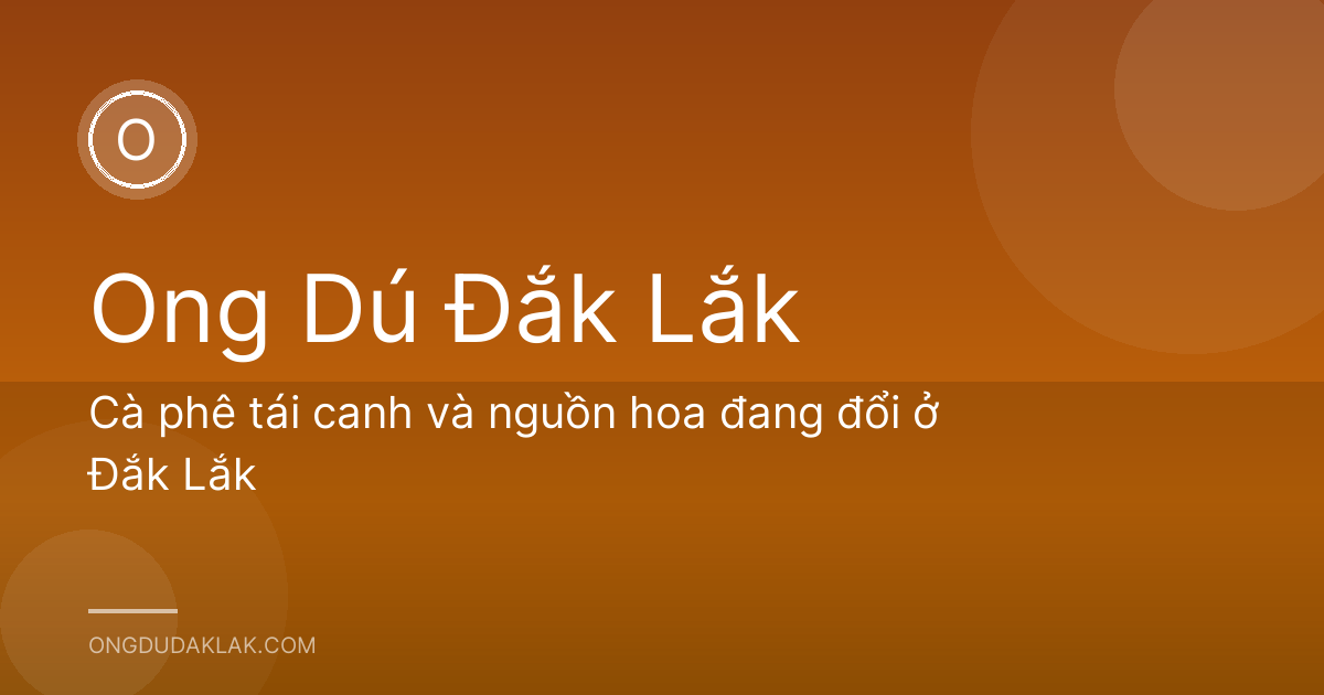 Cà phê tái canh và nguồn hoa đang đổi ở Đắk Lắk
