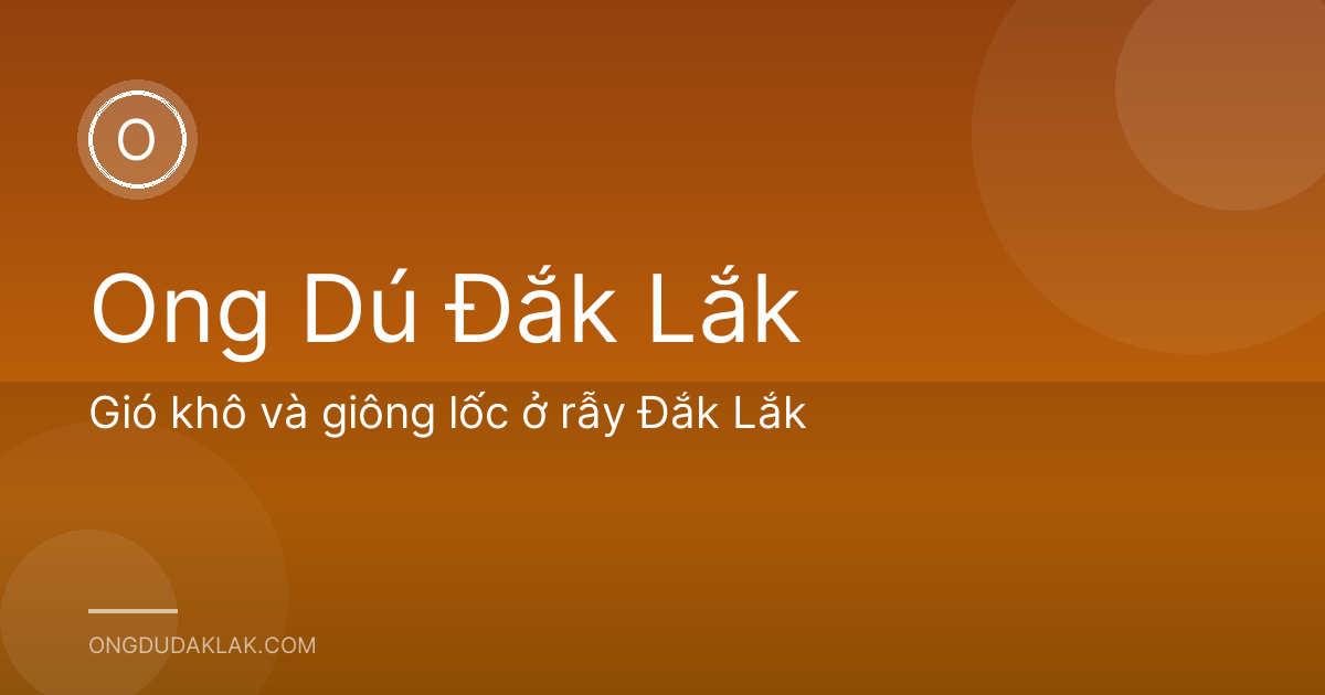 Gió khô và giông lốc ở rẫy Đắk Lắk