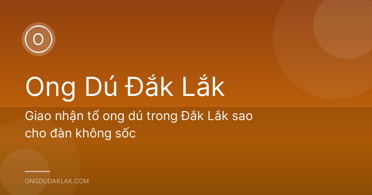 Giao nhận tổ ong dú trong Đắk Lắk sao cho đàn không sốc