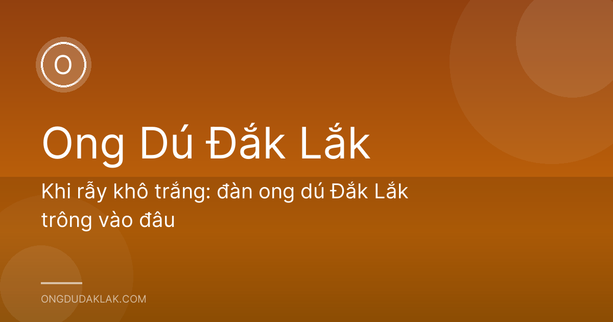 Khi rẫy khô trắng: đàn ong dú Đắk Lắk trông vào đâu