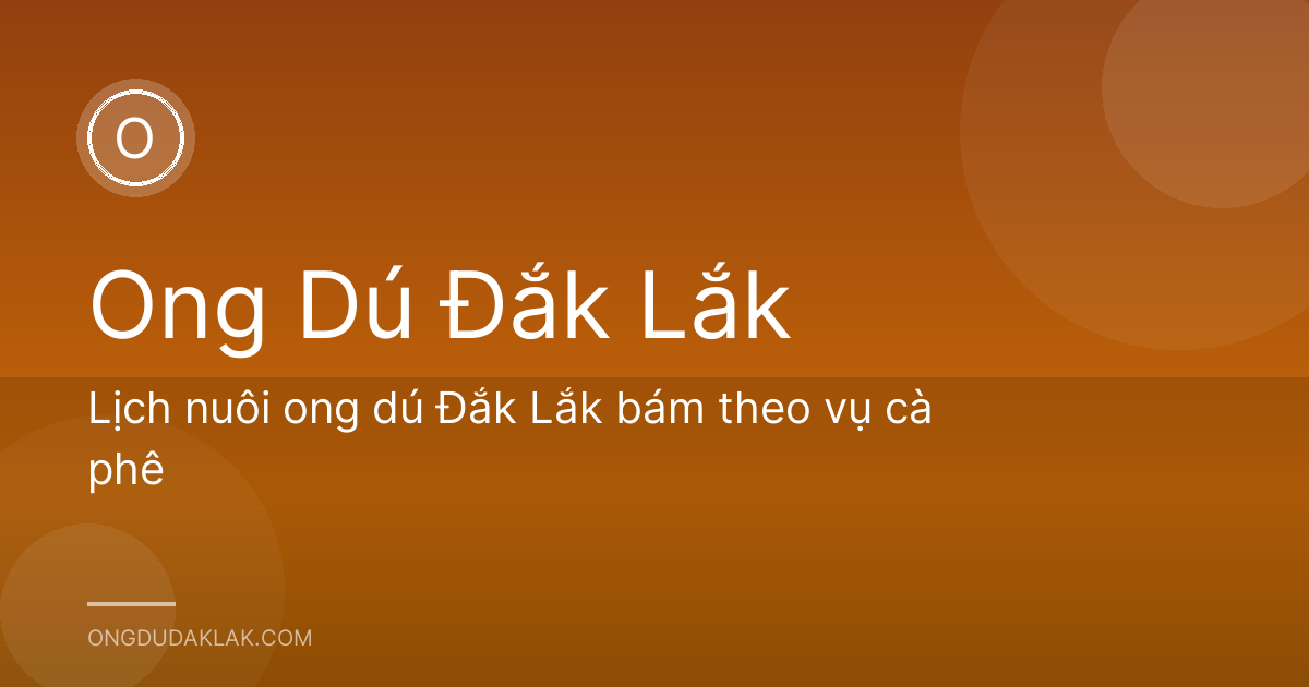 Lịch nuôi ong dú Đắk Lắk bám theo vụ cà phê
