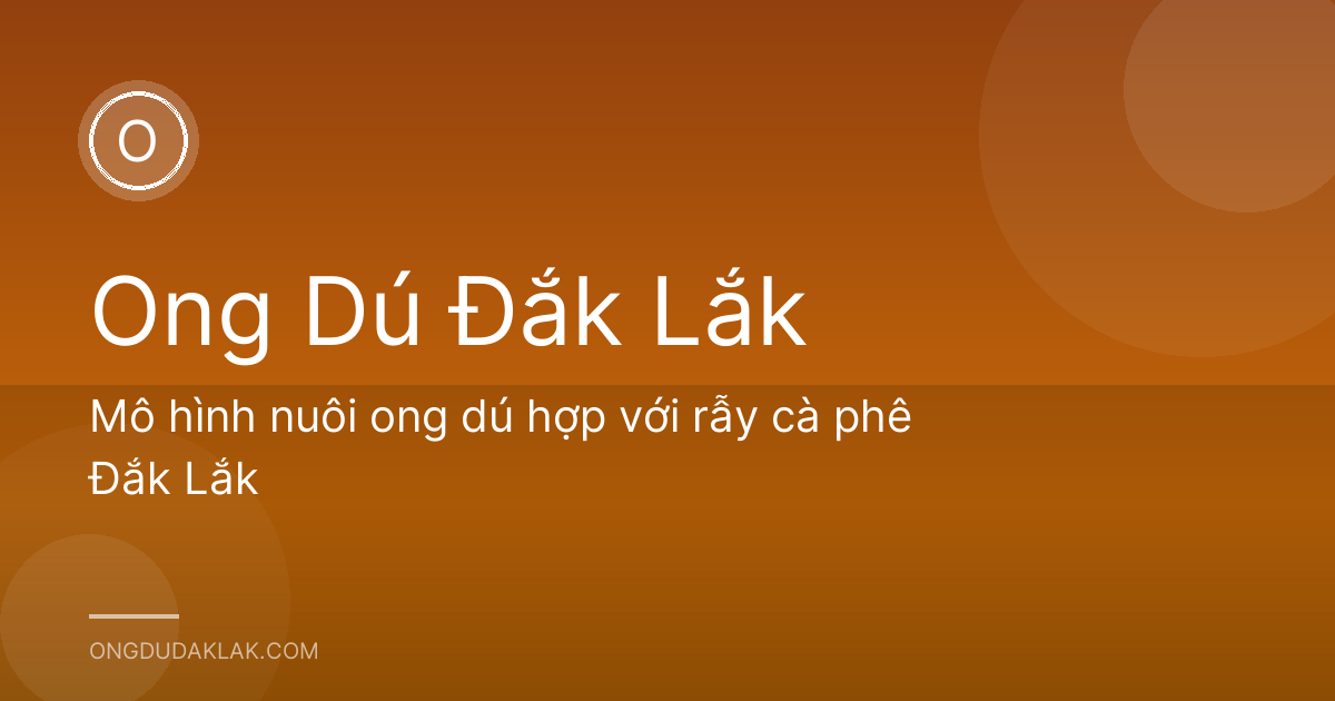 Mô hình nuôi ong dú hợp với rẫy cà phê Đắk Lắk