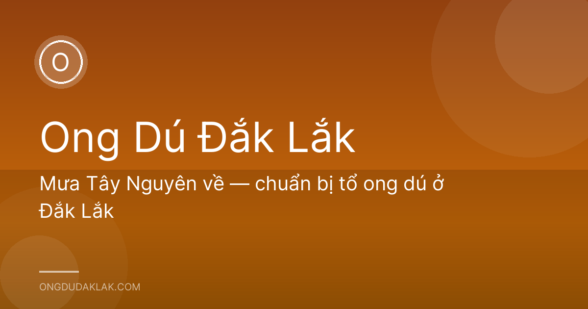 Mưa Tây Nguyên về — chuẩn bị tổ ong dú ở Đắk Lắk