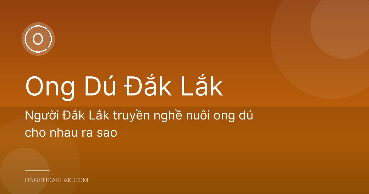 Người Đắk Lắk truyền nghề nuôi ong dú cho nhau ra sao