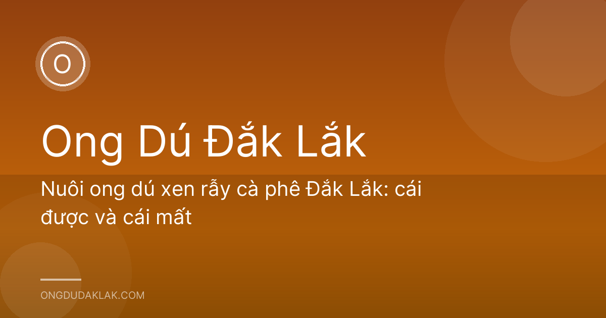 Nuôi ong dú xen rẫy cà phê Đắk Lắk: cái được và cái mất