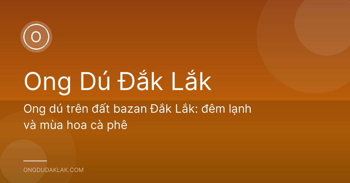 Ong dú trên đất bazan Đắk Lắk: đêm lạnh và mùa hoa cà phê