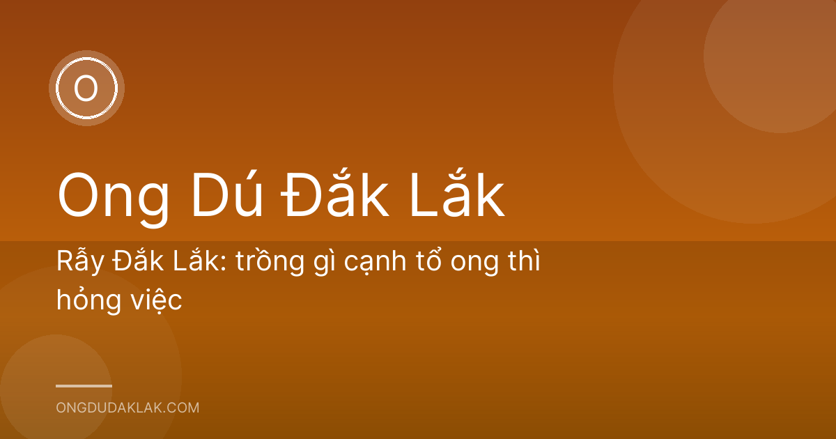 Rẫy Đắk Lắk: trồng gì cạnh tổ ong thì hỏng việc
