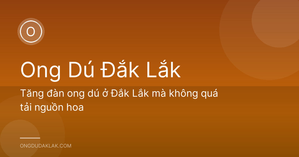 Tăng đàn ong dú ở Đắk Lắk mà không quá tải nguồn hoa