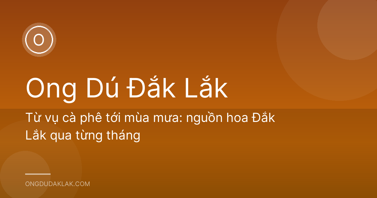 Từ vụ cà phê tới mùa mưa: nguồn hoa Đắk Lắk qua từng tháng